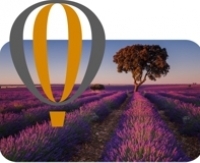 Balloon flight gift over the Lavender Fields of Brihuega